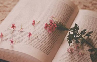 odprta knjiga s cvetlico