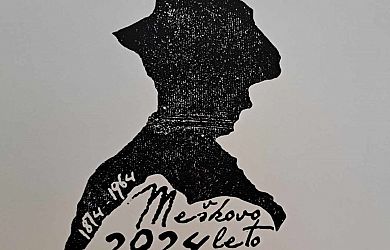 Meškovo leto