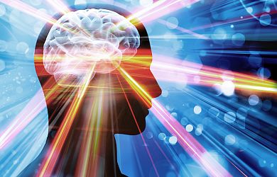 ilustracija glava možgani