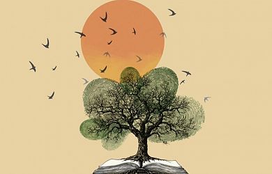 ilustracija Pravljični večer za odrasel