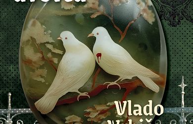 naslovnica knjige Skrivnost kokošjega dvorca