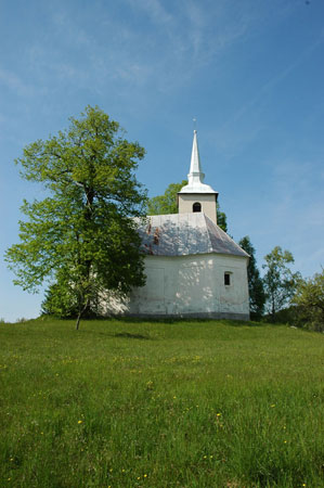 cerkev Sv. Vida